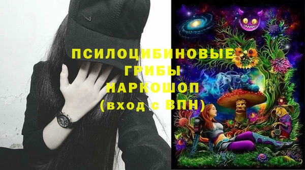 круглые Алексеевка