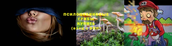 круглые Алексеевка