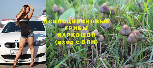 круглые Алексеевка