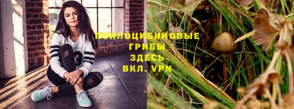 круглые Алексеевка