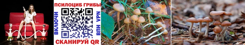 Галлюциногенные грибы GOLDEN TEACHER  Лянтор 